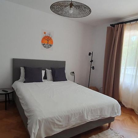 The Pines Serviced Apartments Brašov Exteriér fotografie