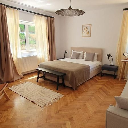 The Pines Serviced Apartments Brašov Exteriér fotografie