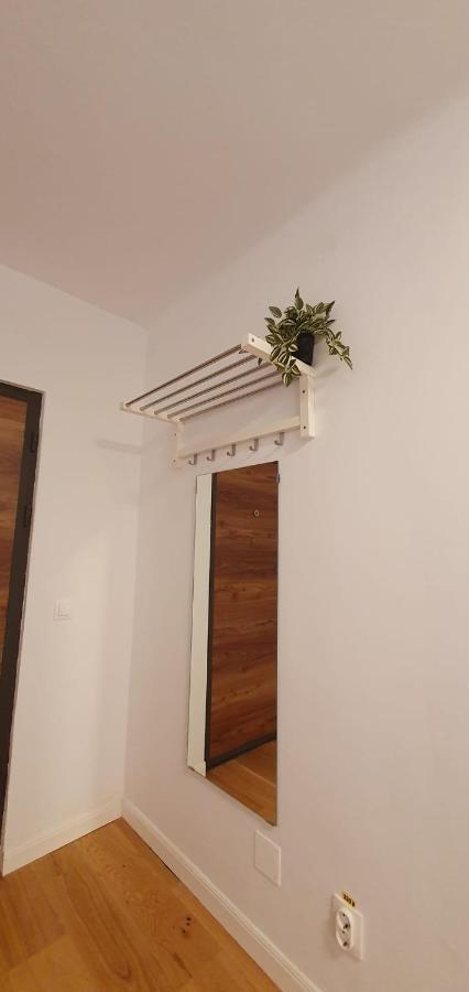 The Pines Serviced Apartments Brašov Exteriér fotografie